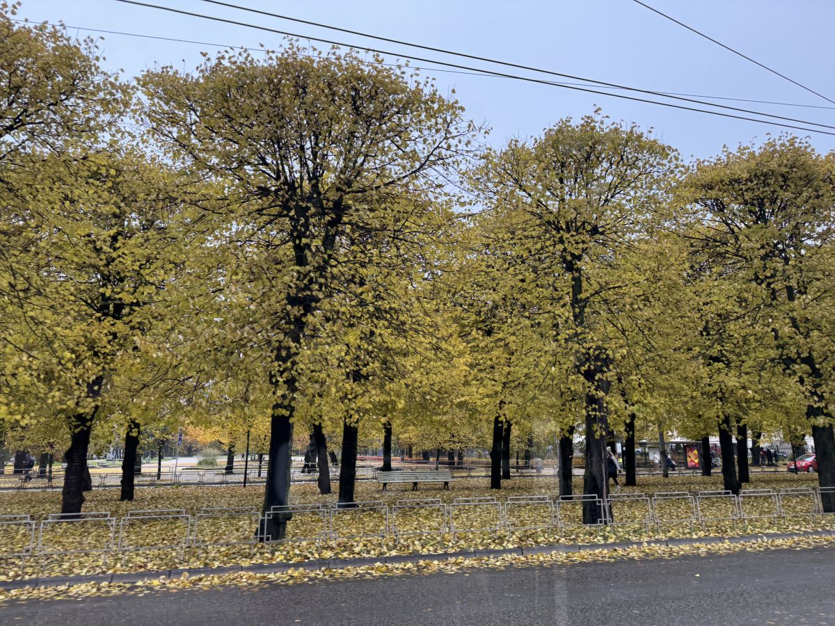 Weather Photos in Rīga. Weather forecasts with beautiful photos by Svet-Lana