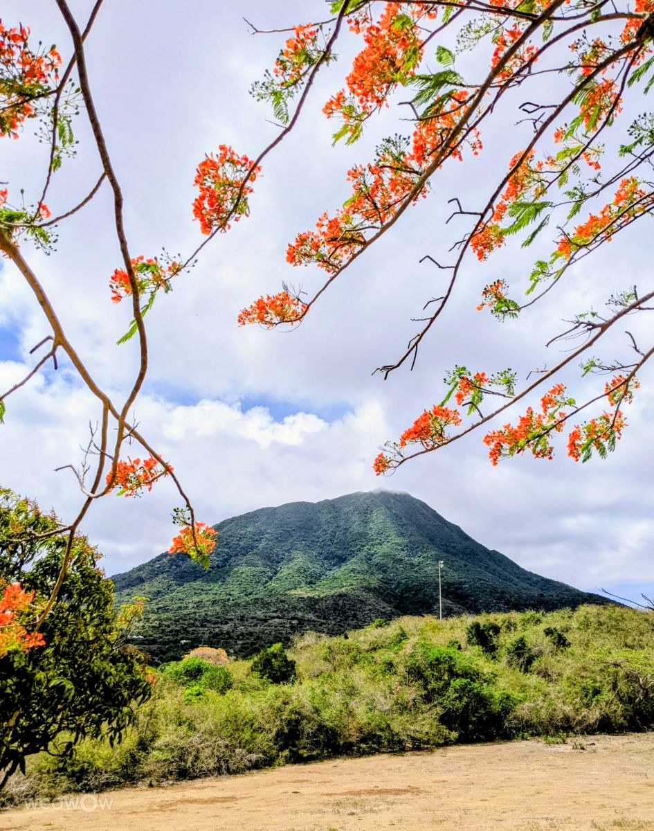 Weather forecasts with beautiful photos by rgo