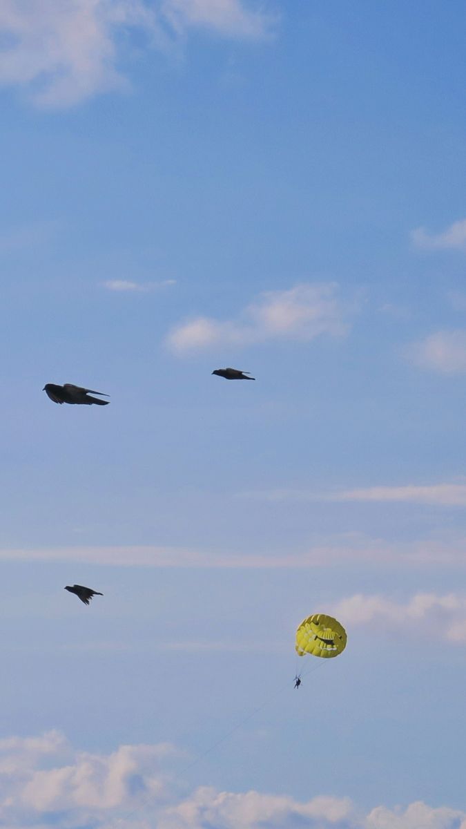 Weather Photos in Batumi. Weather forecasts with beautiful photos by peony-lover
