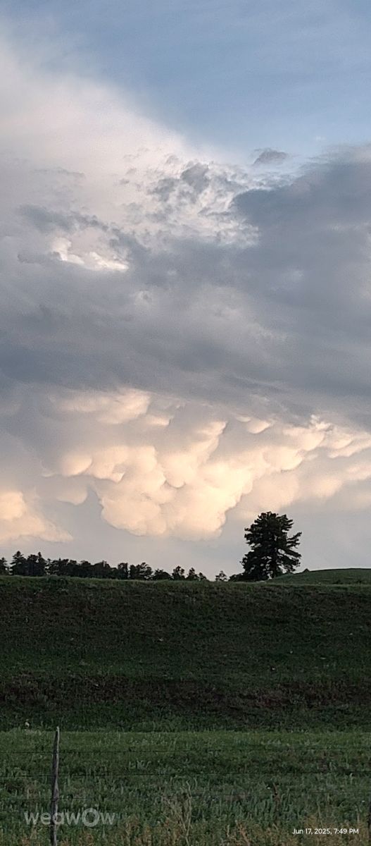 Wetter Photos Pine View Airport. Wettervorhersagen mit schönen Fotos von BonnieC85