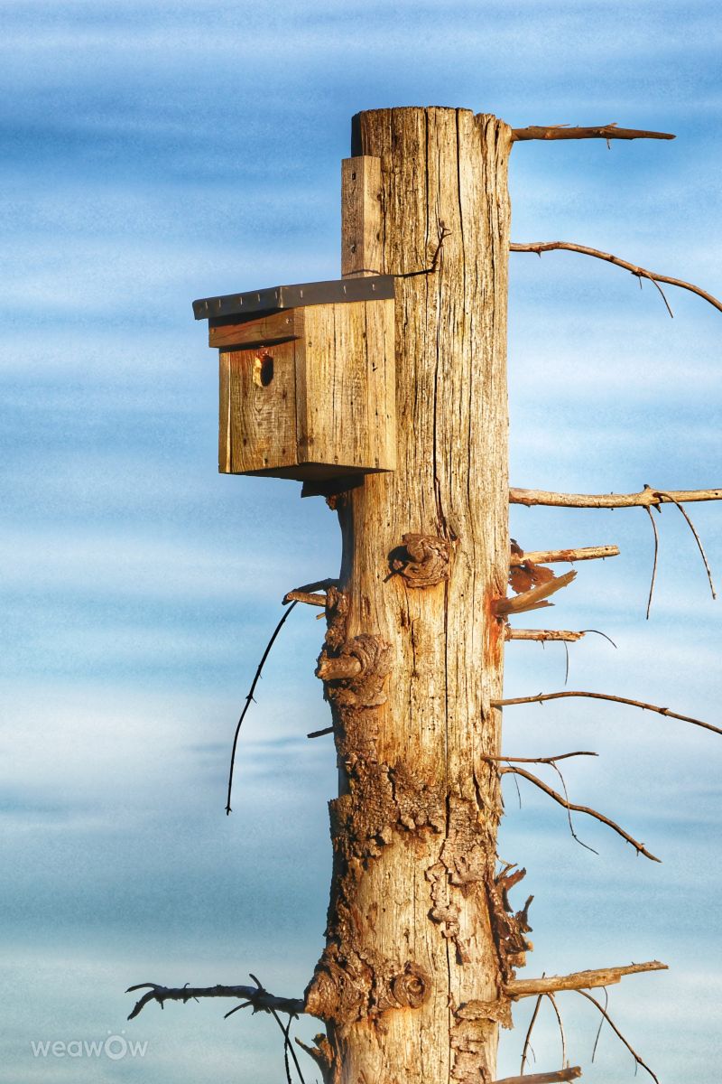 Photographer Lotti5507, Weather Photos in Altenaffeln - Weawow