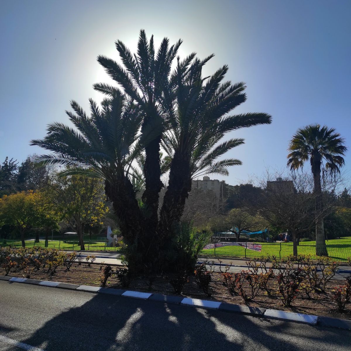 Photos météo à Israël. Prévisions météo avec de superbes photos de Yuval