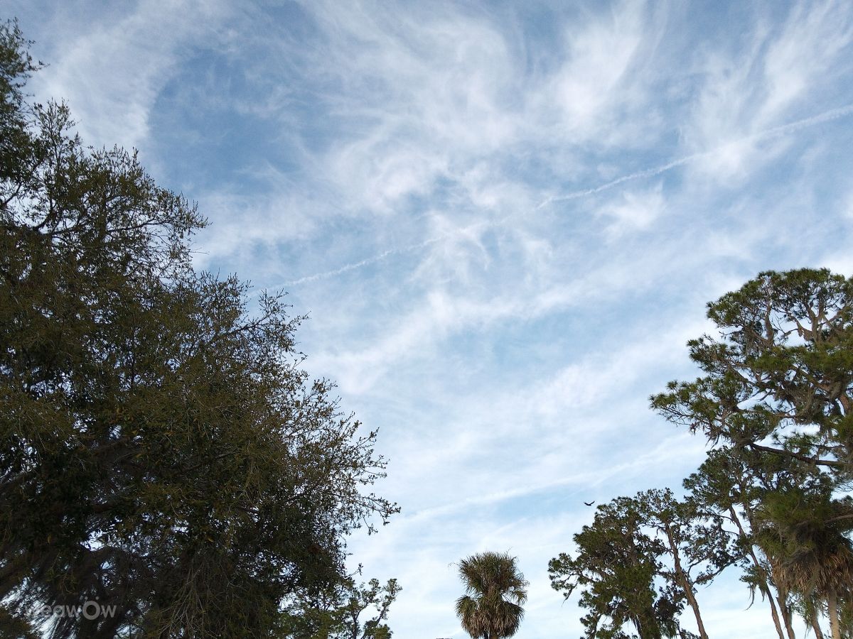 Weather Photos in Florida. Weather forecasts with beautiful photos by Christina Moran