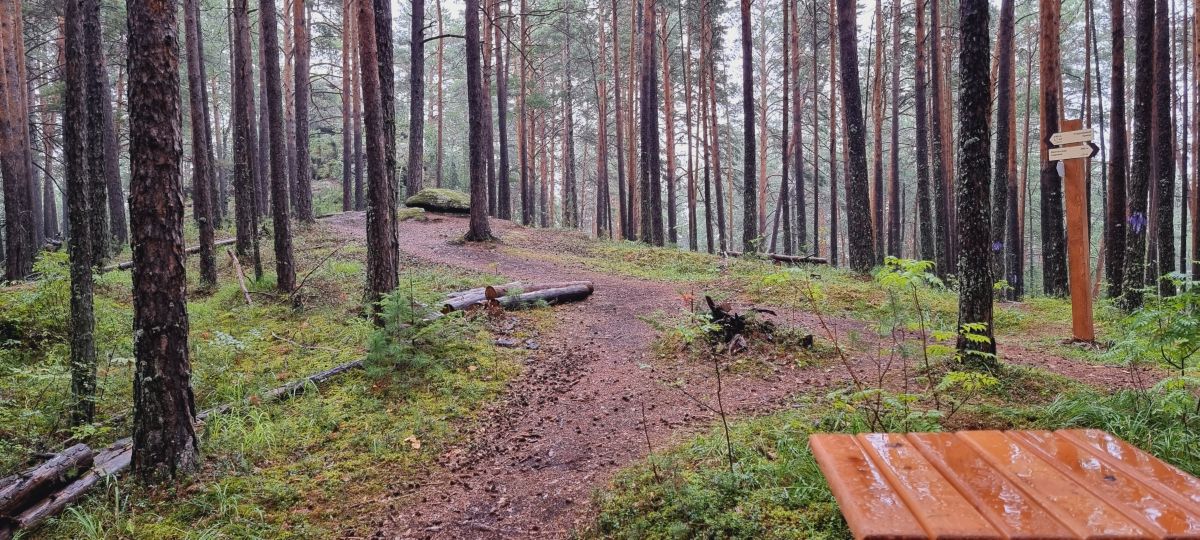 Fotos do tempo em Krasnoyarsk. Previsões do tempo com lindas fotos de Владислав Журавлев