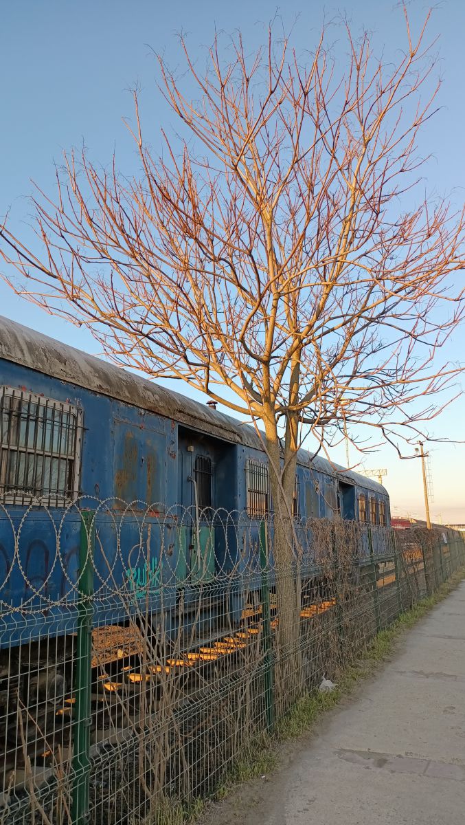 Фотографии Погоды в Çerkezköy. Прогнозы погоды с чудесными фотографиями, сделанными Salih Sezgin