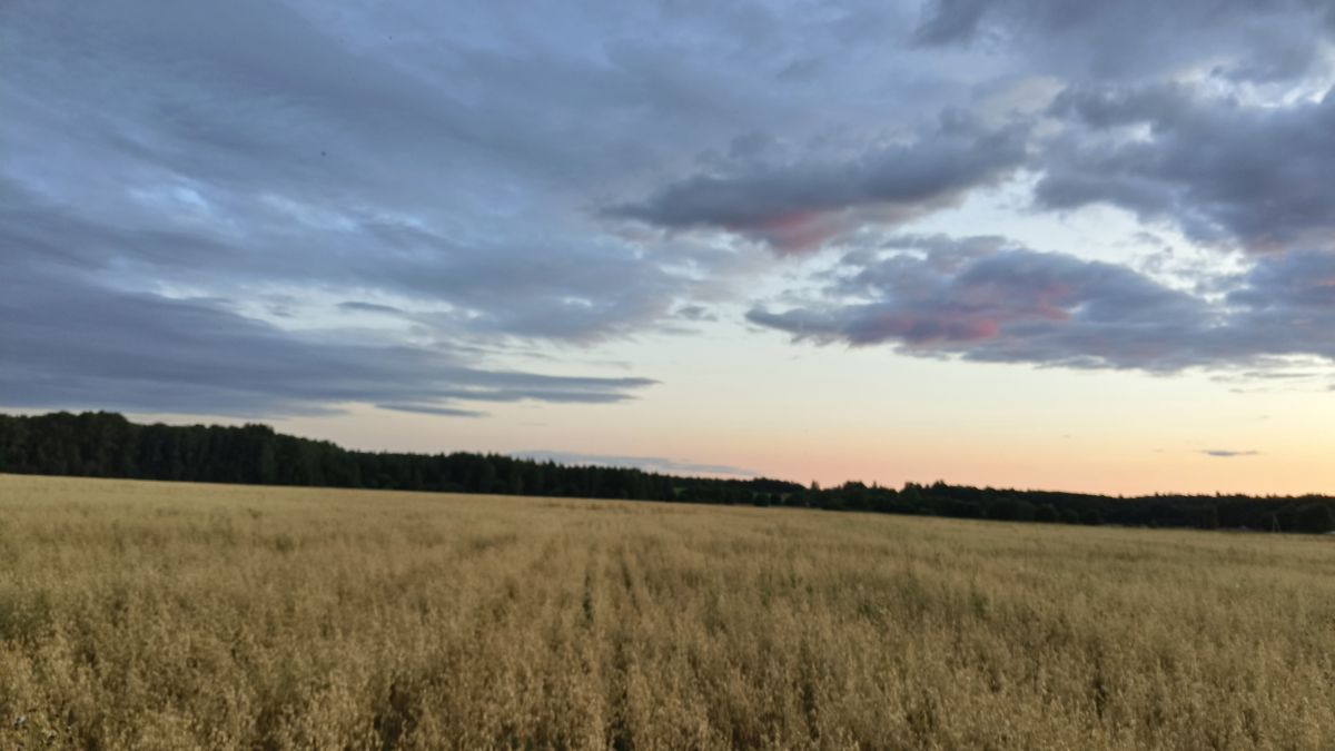 Hình ảnh Thời tiết ở Kaluga Oblast. Dự báo thời tiết với những bức ảnh đẹp của Aleksei