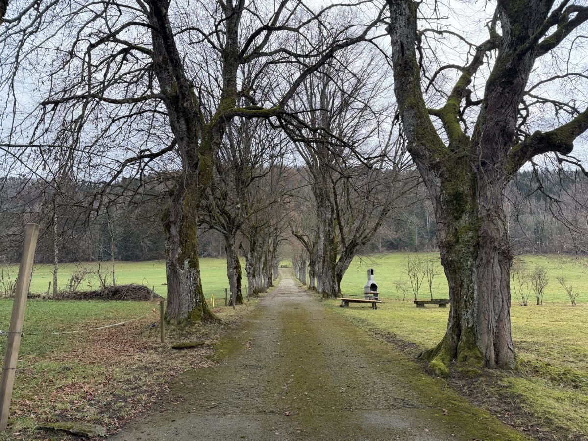 Photographe SwissEloi, Photos météo à Renan - Weawow