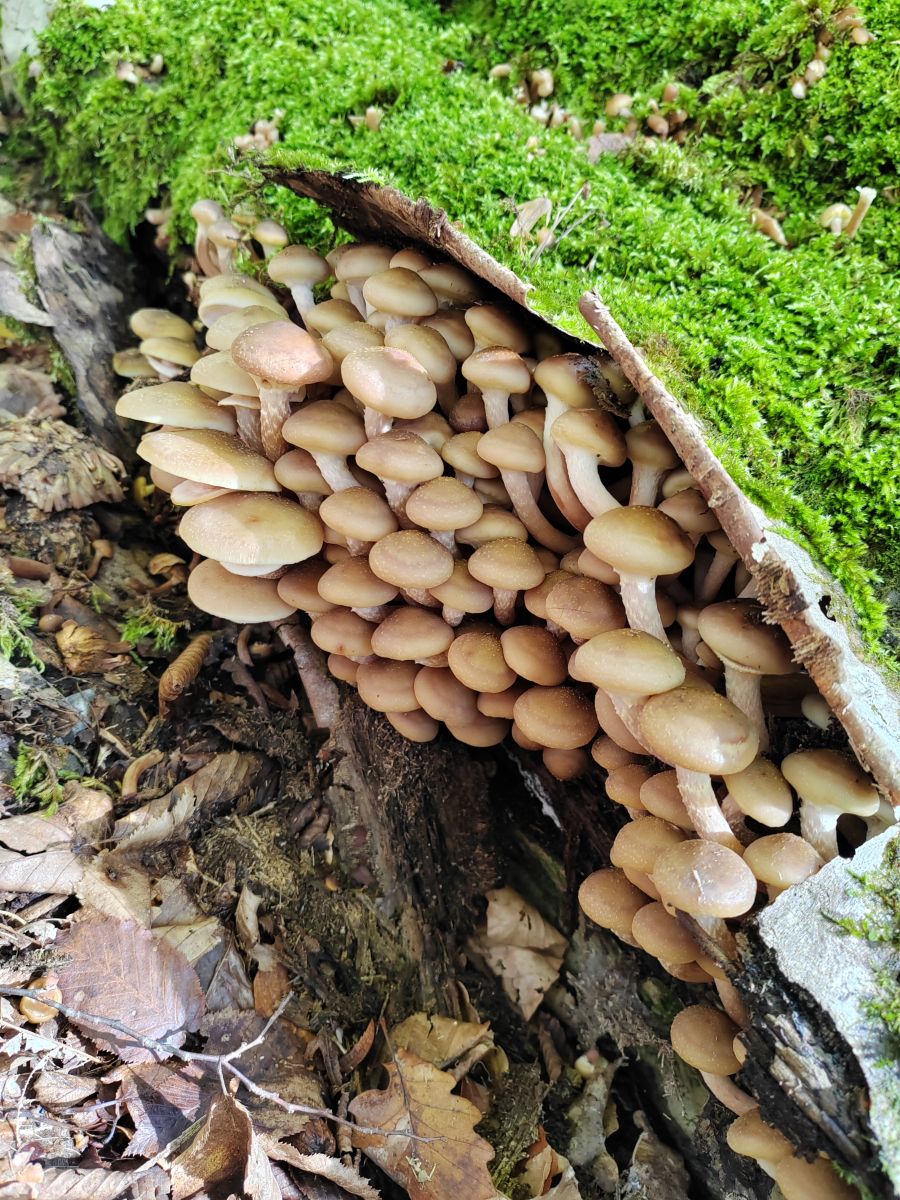 写真家 Albert_Smelovtsev、Roza Khutorの天気写真 - Weawow