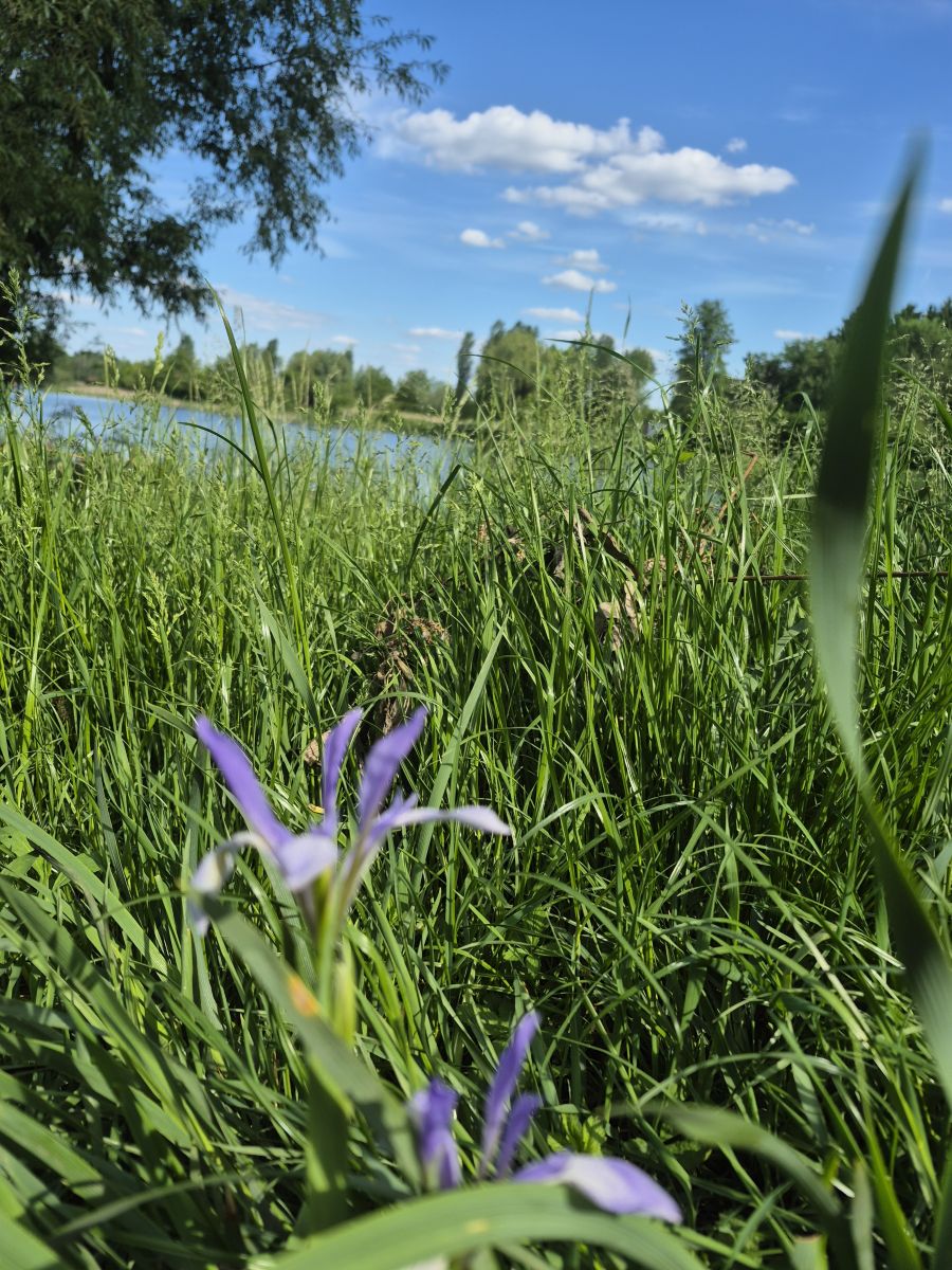Weather Photos in Bila Tserkva. Weather forecasts with beautiful photos by Маргарита Котенко