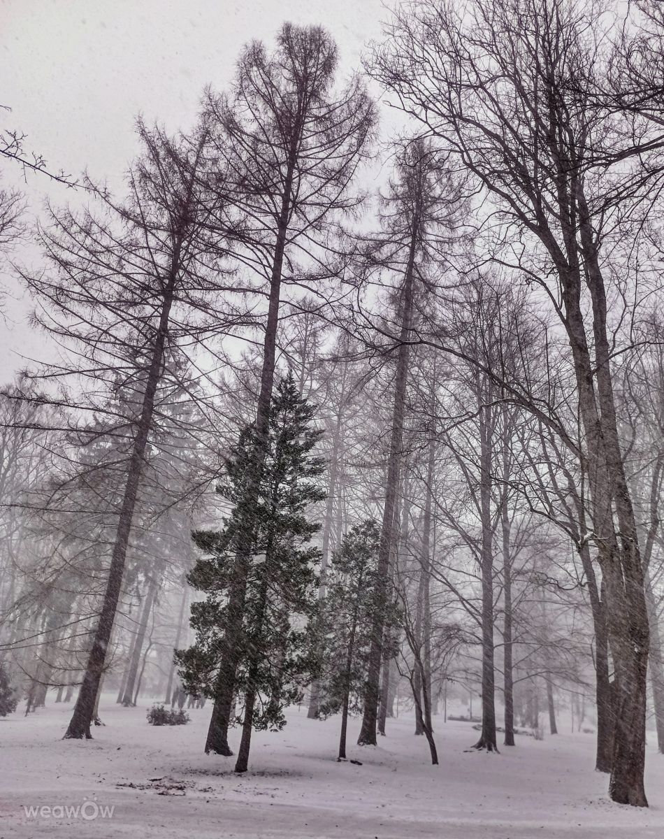 Wetter Photos Ladek Zdroj. Wettervorhersagen mit schönen Fotos von Kripo