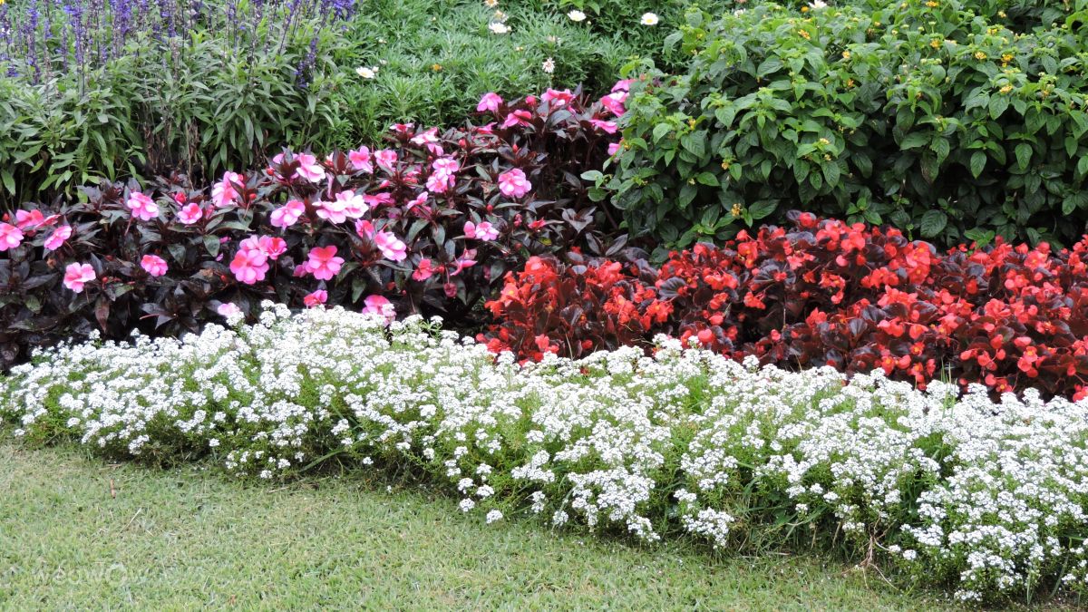 Hình ảnh Thời tiết ở Gramado. Dự báo thời tiết với những bức ảnh đẹp của LuGi