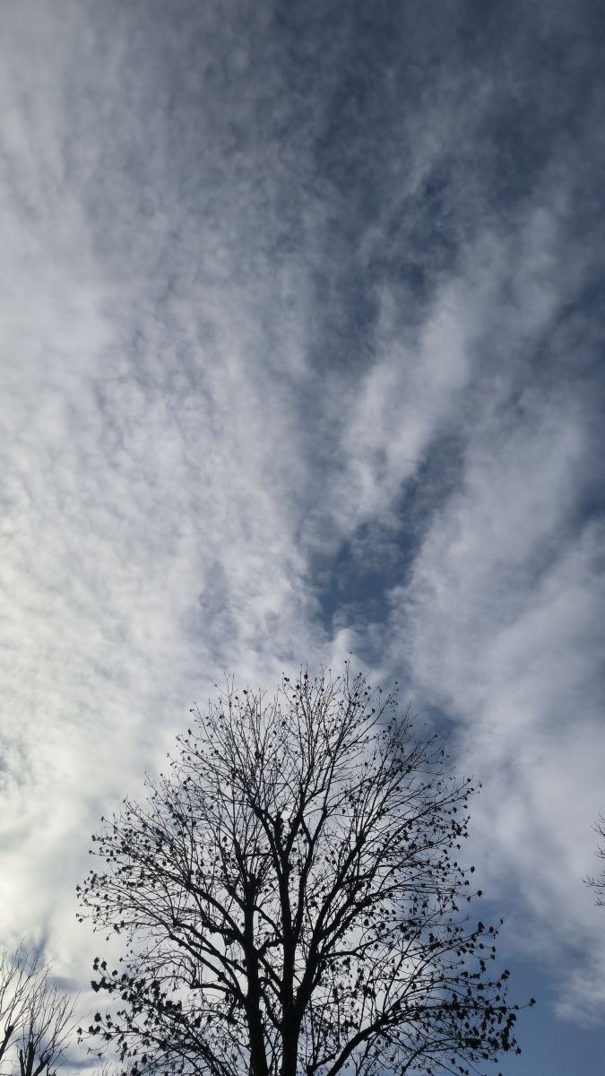 Fotos sobre el clima en București. Pronósticos del tiempo con hermosas fotos de YanBog