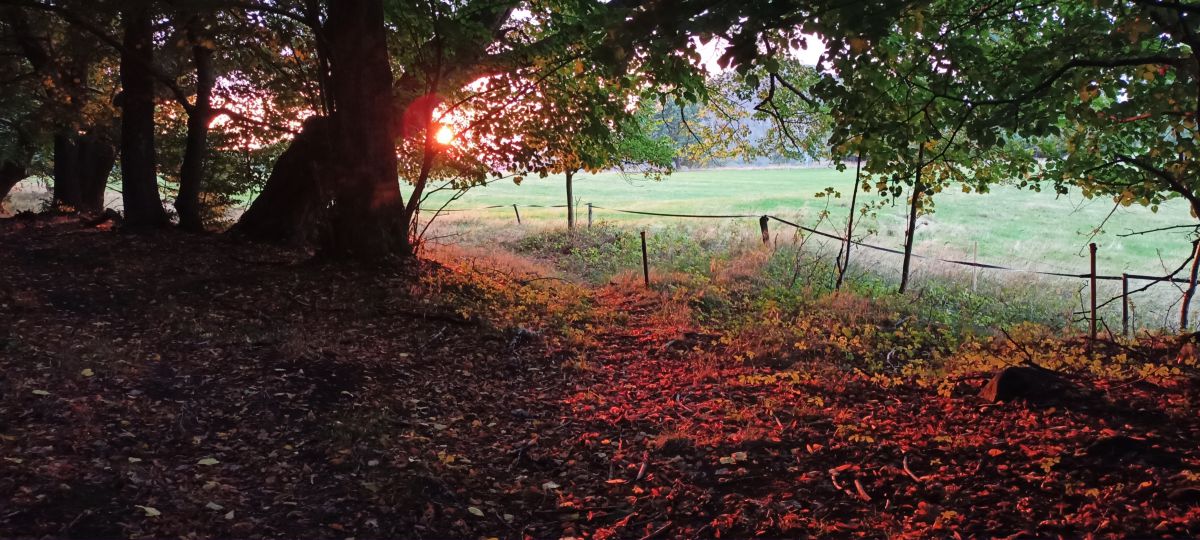 Weerfoto's in Kamenický Šenov. Weersvoorspellingen met prachtige foto's van Anna Raková