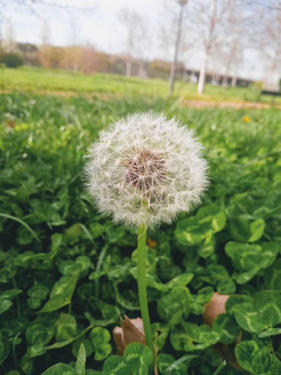 Weather Photos in Grenada. Weather forecasts with beautiful photos by Paracelso