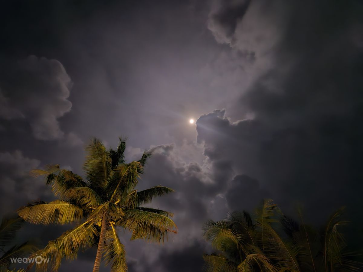 Weather Photos in Mozambique. Weather forecasts with beautiful photos by Cumhur Cemal Özmen