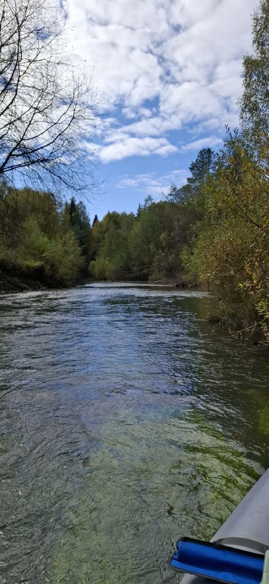 Fotos do tempo em Kirov. Previsões do tempo com lindas fotos de Alexeyt