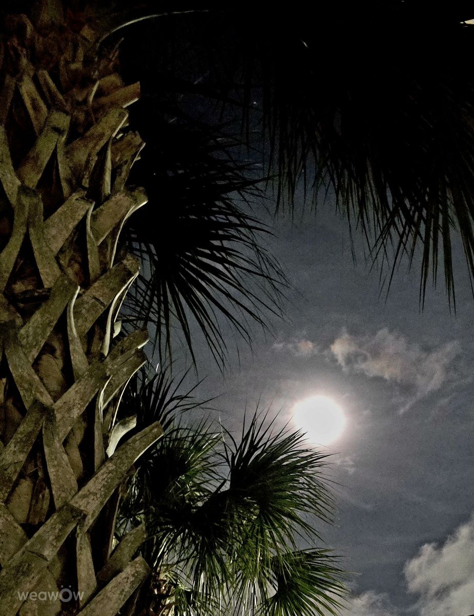 Weather Photos in Florida. Weather forecasts with beautiful photos by CaTSmiles