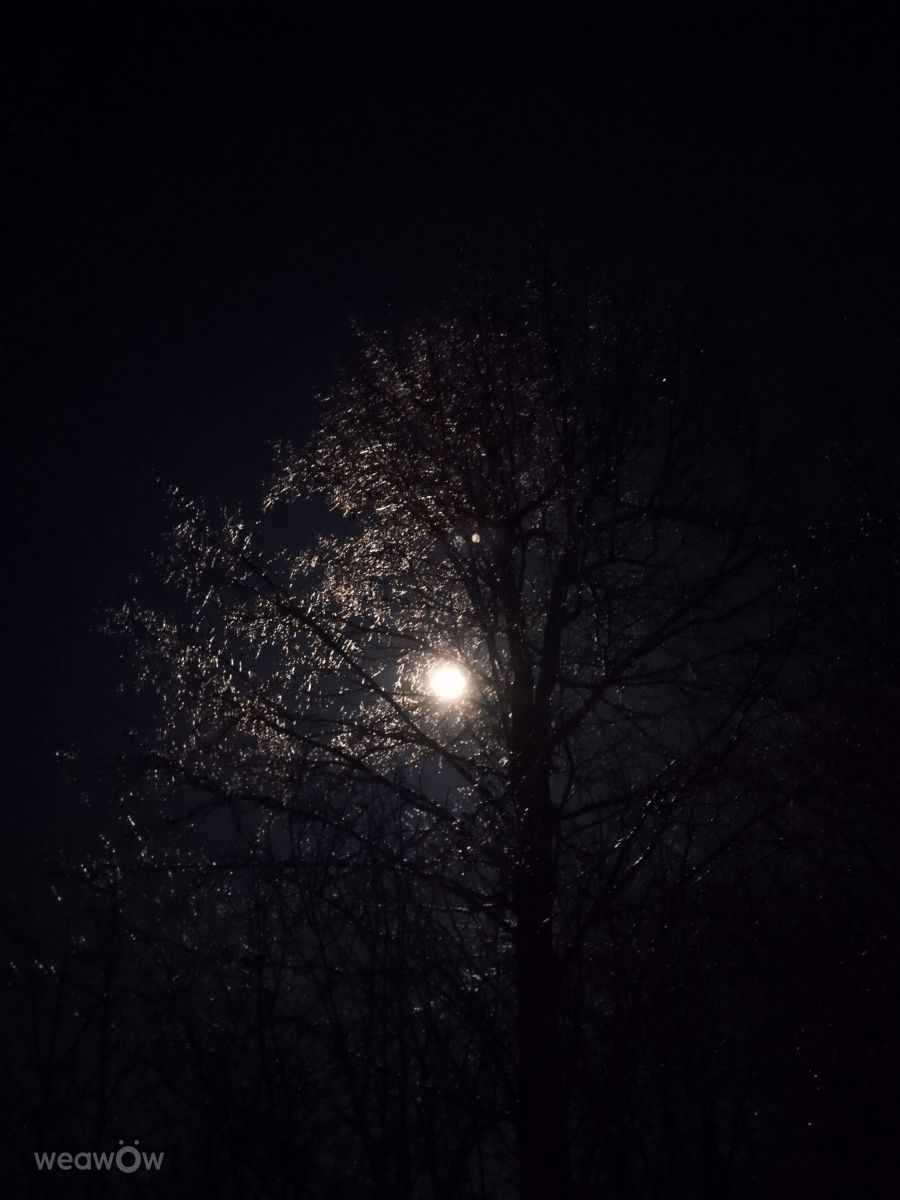 Weather Photos in Ukraine. Weather forecasts with beautiful photos by mikhai