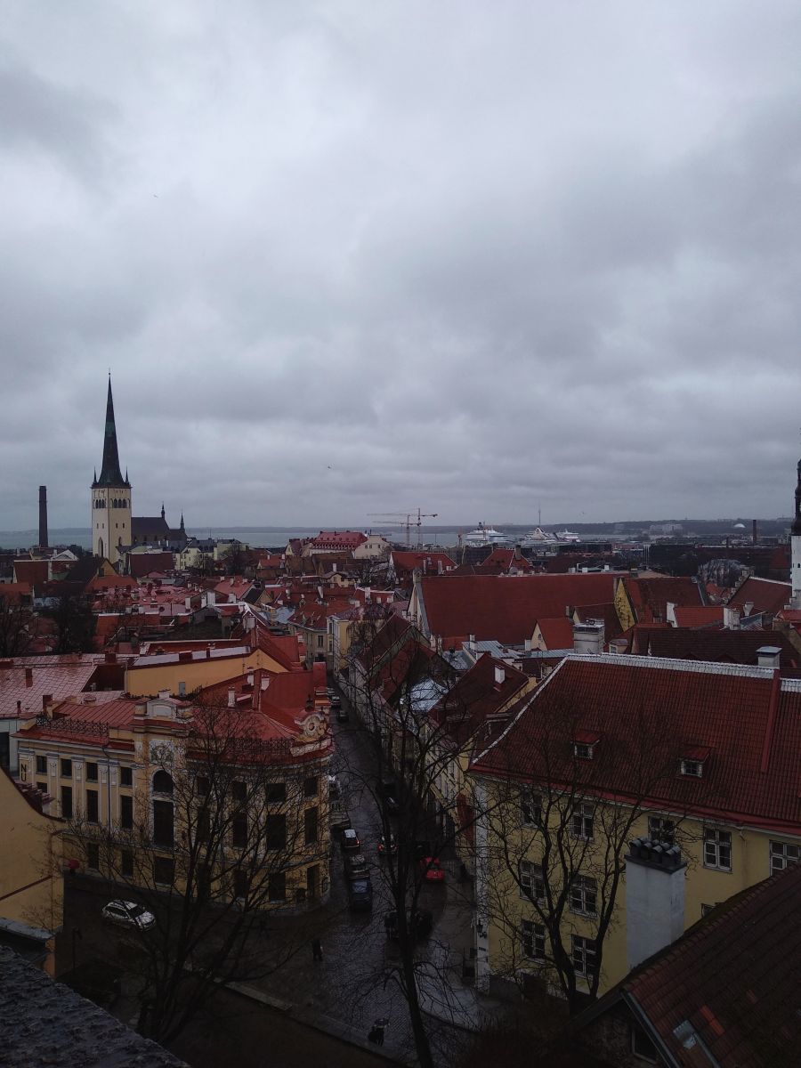 Фотографии Погоды в Харьюмаа. Прогнозы погоды с чудесными фотографиями, сделанными Her_elegance_Lina