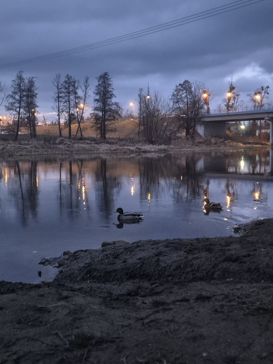 Фотографии Погоды в Сохачев. Прогнозы погоды с чудесными фотографиями, сделанными Krolololyk