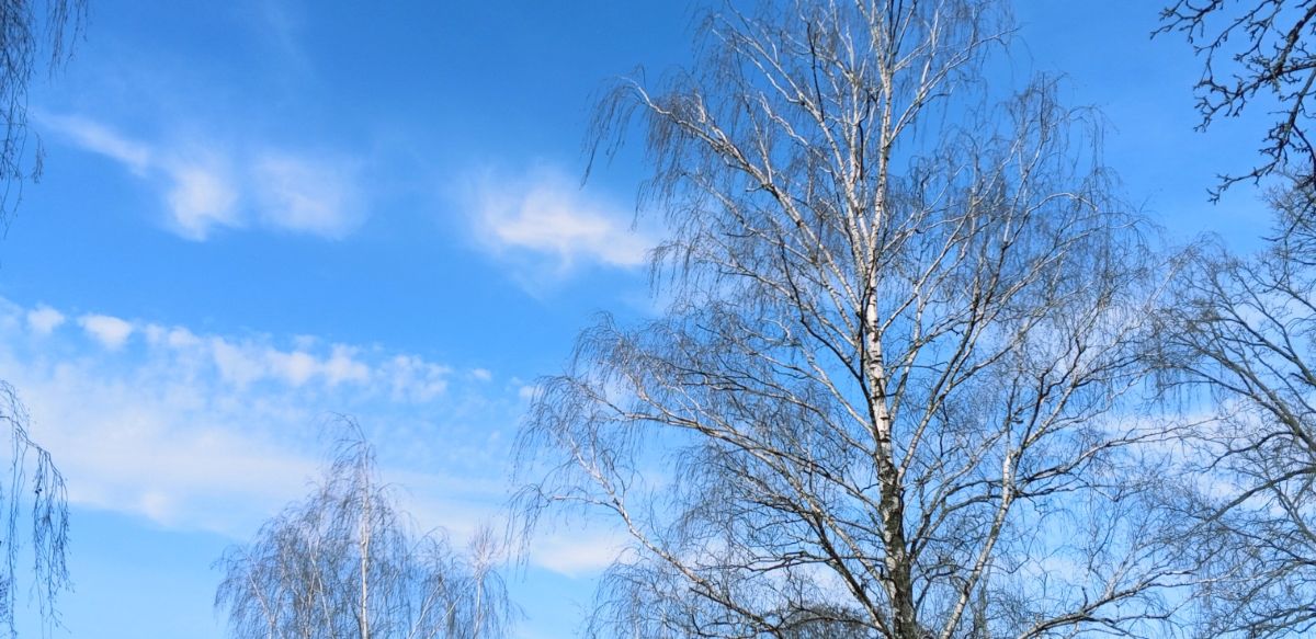 摄影师 Olena-13，Чернигов的天气照片 - Weawow