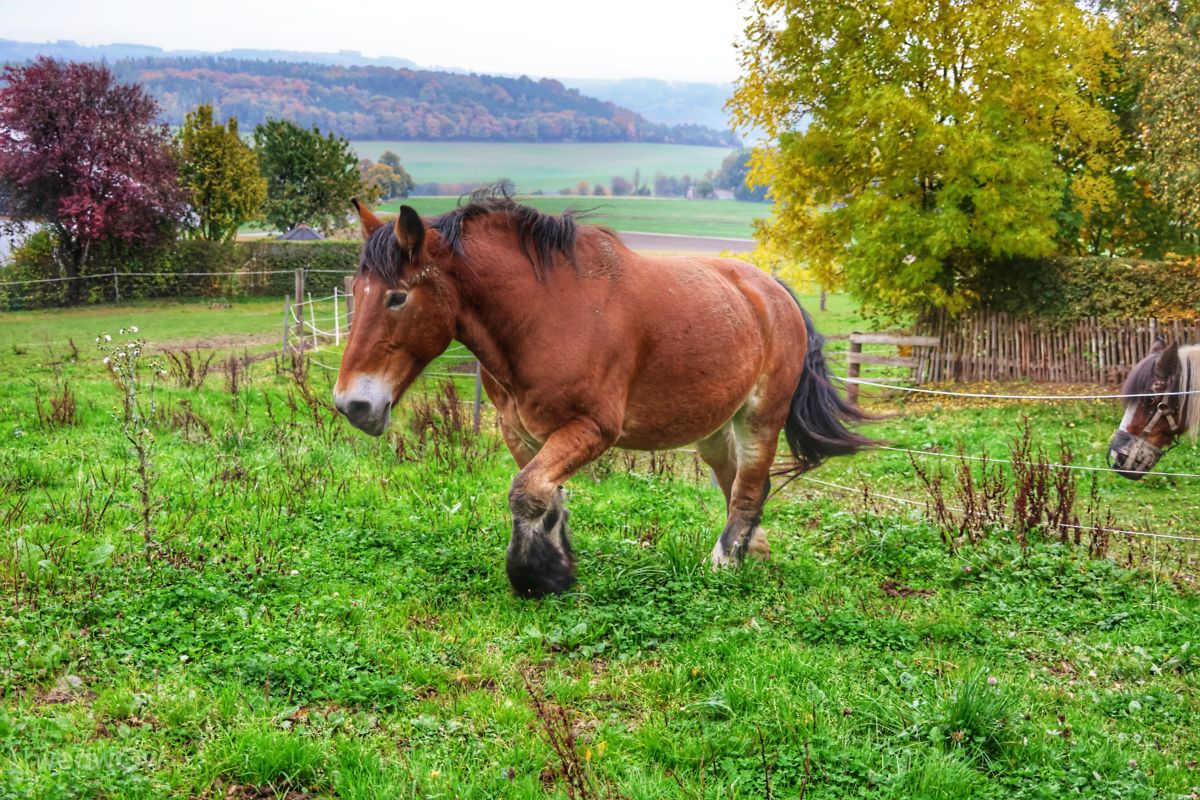 Weather Photos in Affeln. Weather forecasts with beautiful photos by Lotti5507