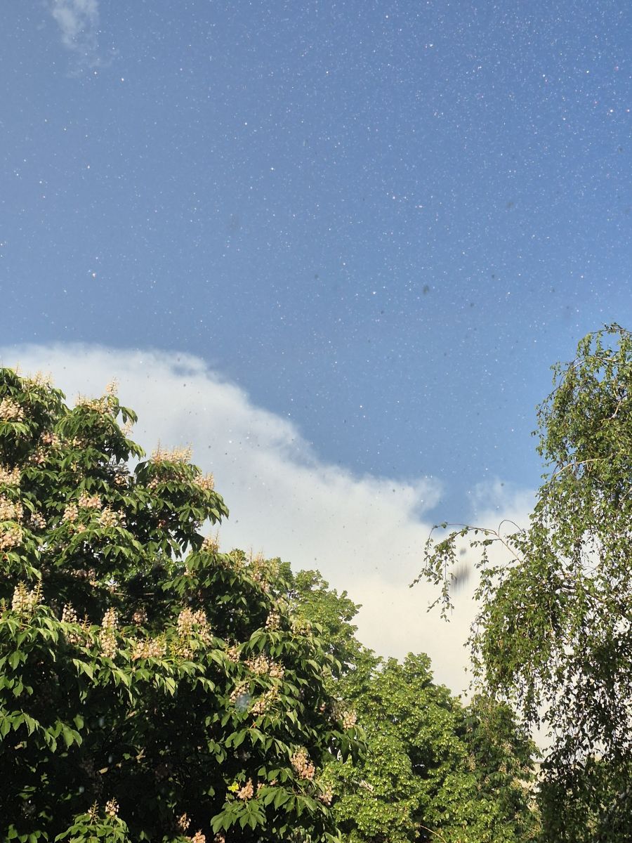 Weather Photos in Bila Tserkva. Weather forecasts with beautiful photos by Маргарита Котенко