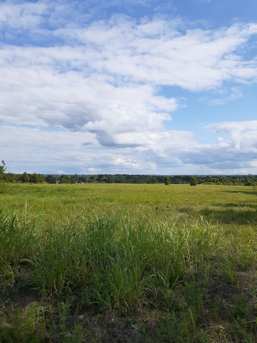 Photos météo à Bridgeton. Prévisions météo avec de superbes photos de LenaXo