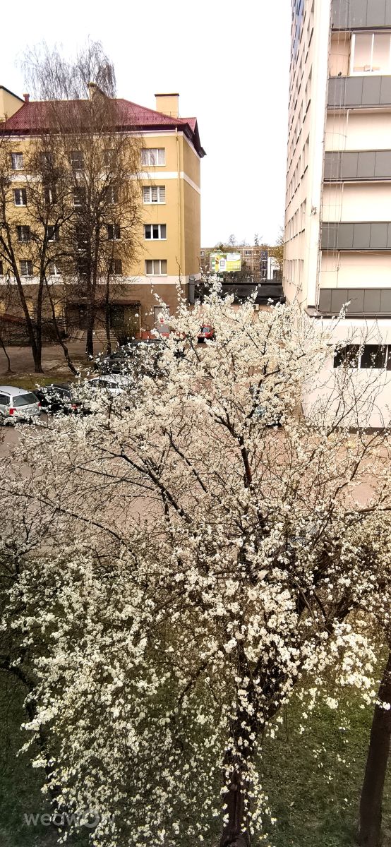 Фотографии Погоды в Гродно. Прогнозы погоды с чудесными фотографиями, сделанными Irishka