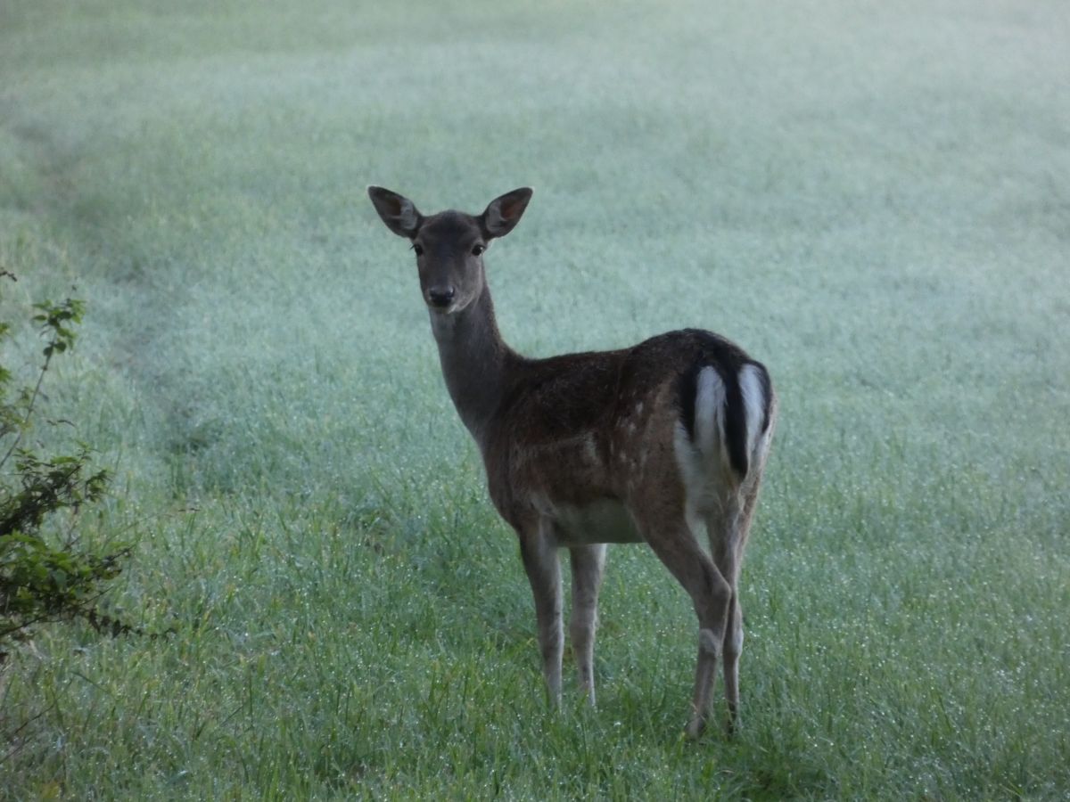 Фотографии Погоды в Dangast. Прогнозы погоды с чудесными фотографиями, сделанными fwerner