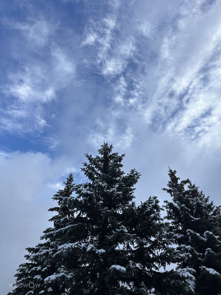 ロシアの天気写真. Rithaの美しい写真による天気予報