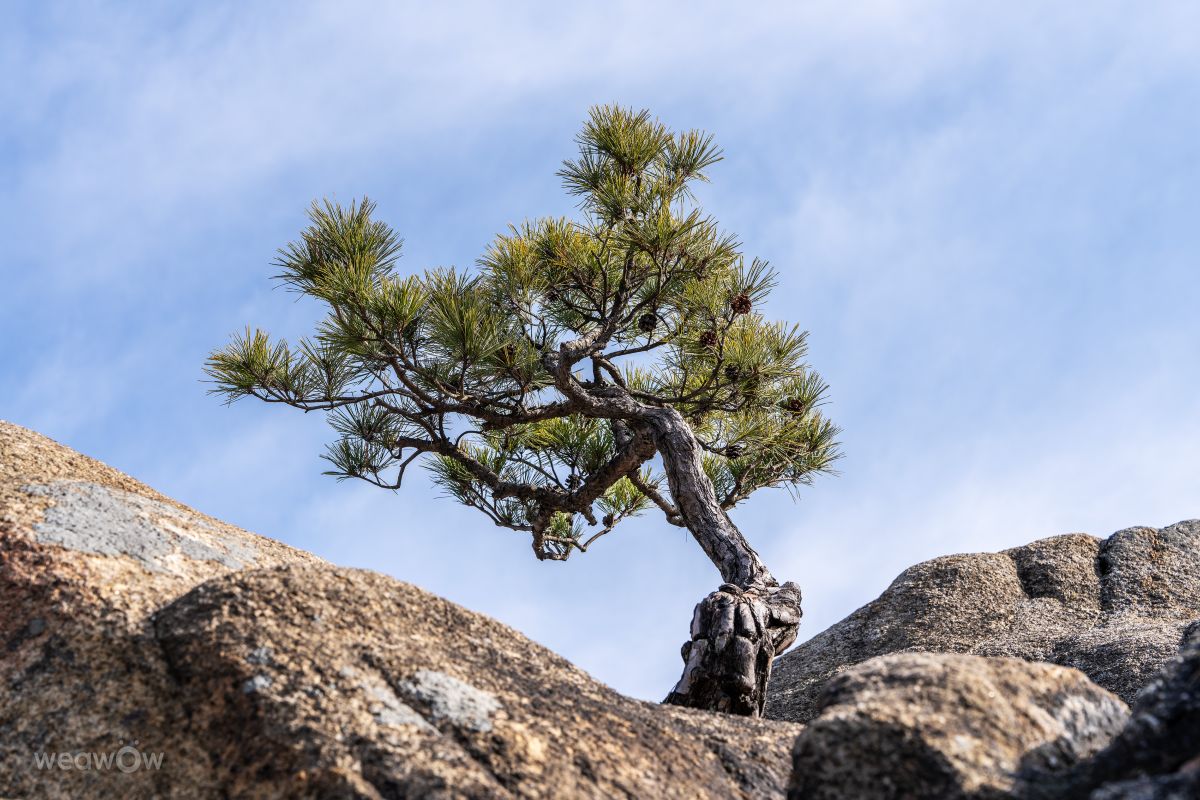 Weather Photos in Bulgoksan. Weather forecasts with beautiful photos by yunyangsu