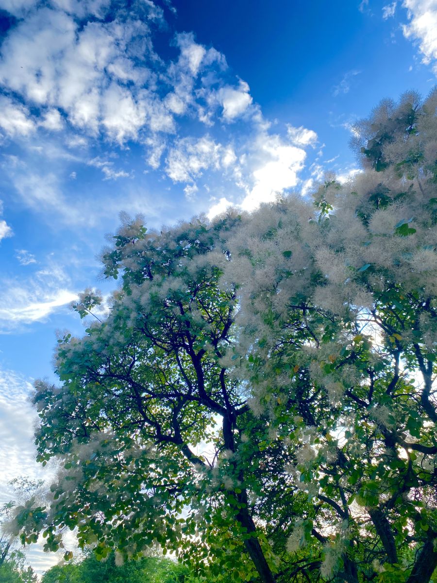 Weather Photos in Poltava. Weather forecasts with beautiful photos by Larusya