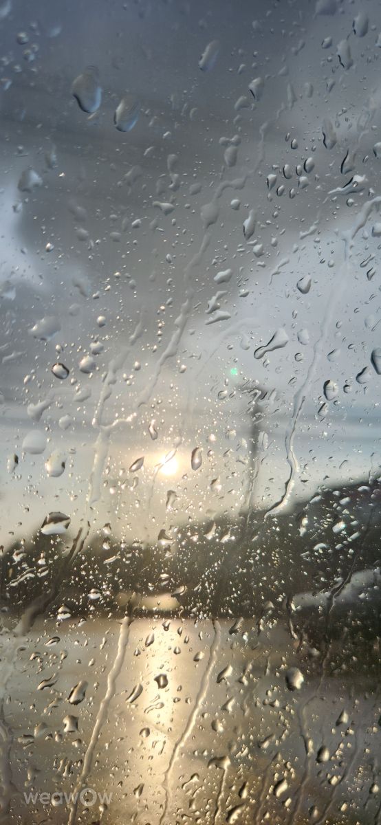 Photographe Rukh-08-08, Photos météo à Memphis - Weawow