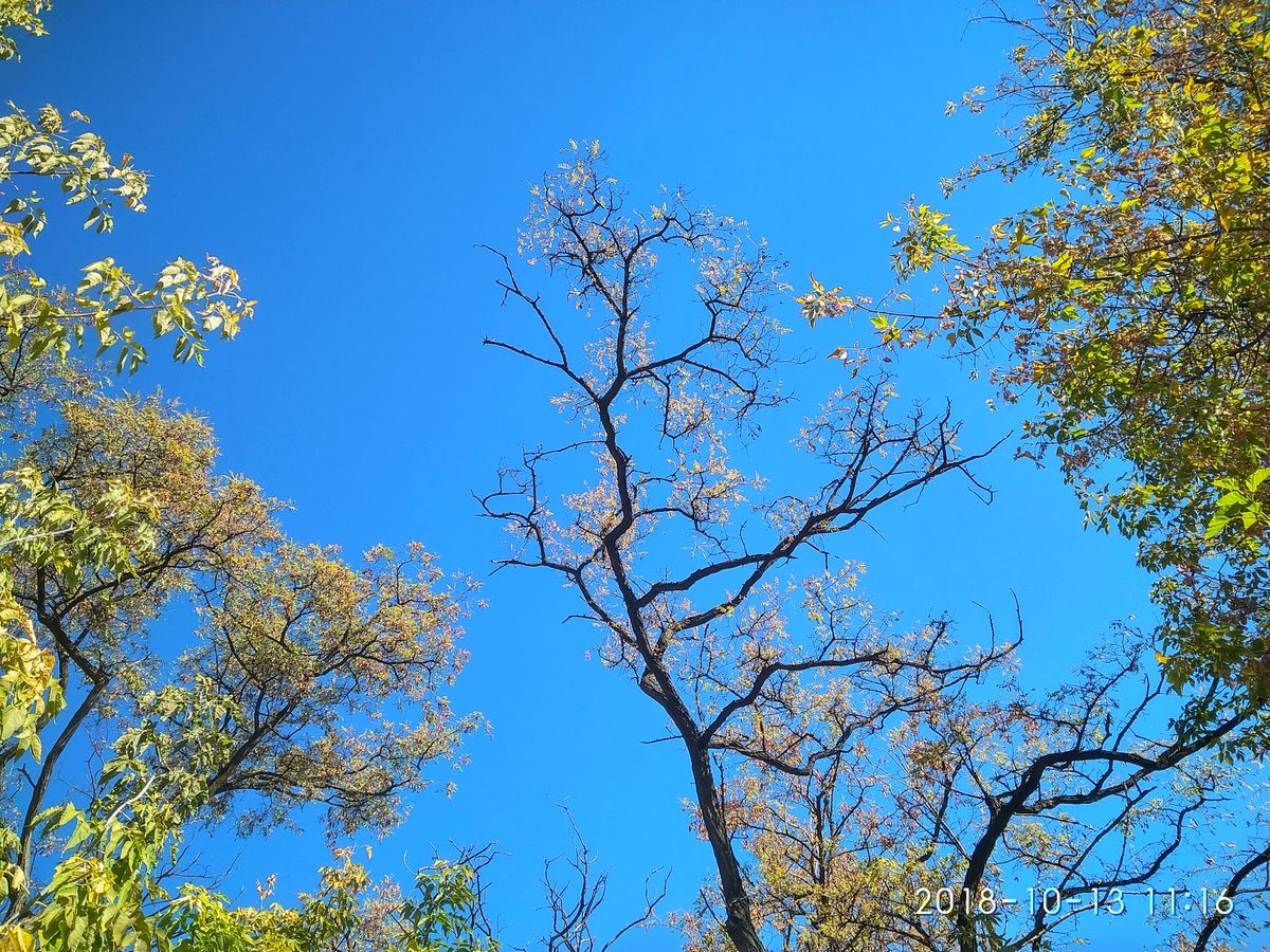 Pereval's'kの天気写真. Петр Нащёкинの美しい写真による天気予報