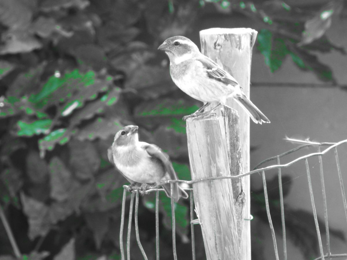 Weather forecasts with beautiful photos by Step_Gently