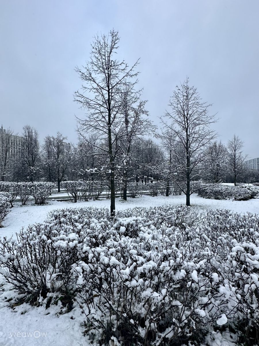 ロシアの天気写真. Rithaの美しい写真による天気予報