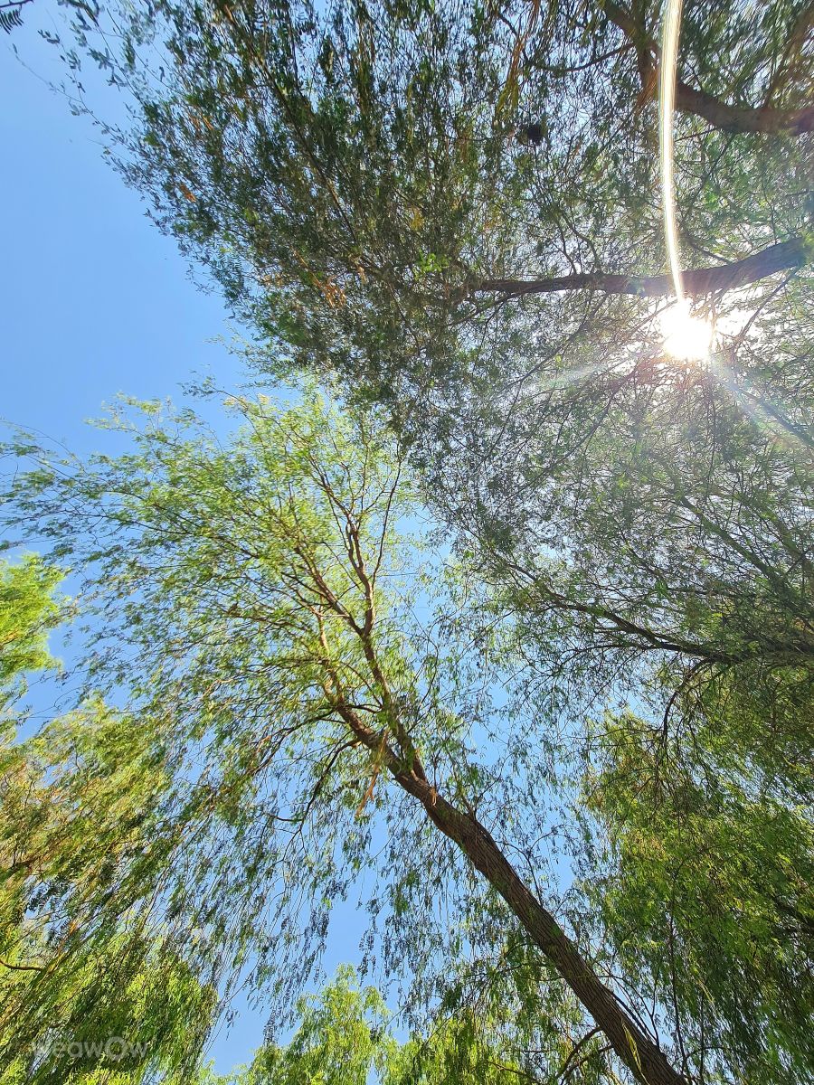 Weather Photos in United Arab Emirates. Weather forecasts with beautiful photos by phantran
