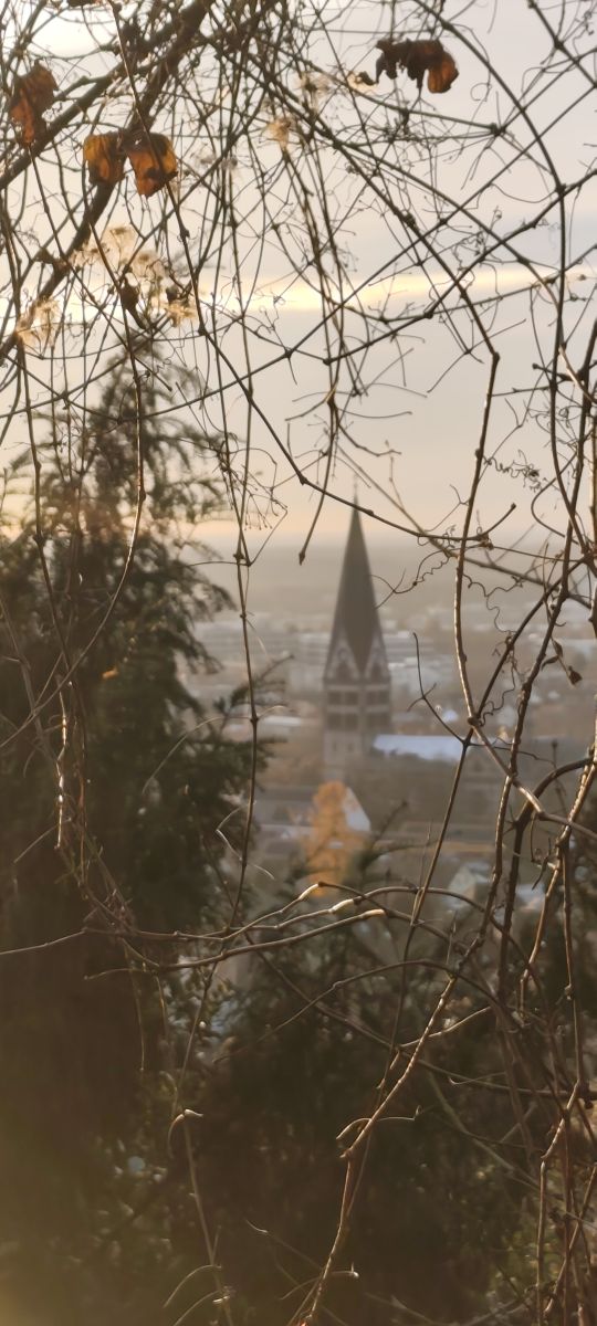 Weather Photos in Ettlingen. Weather forecasts with beautiful photos by Tercis