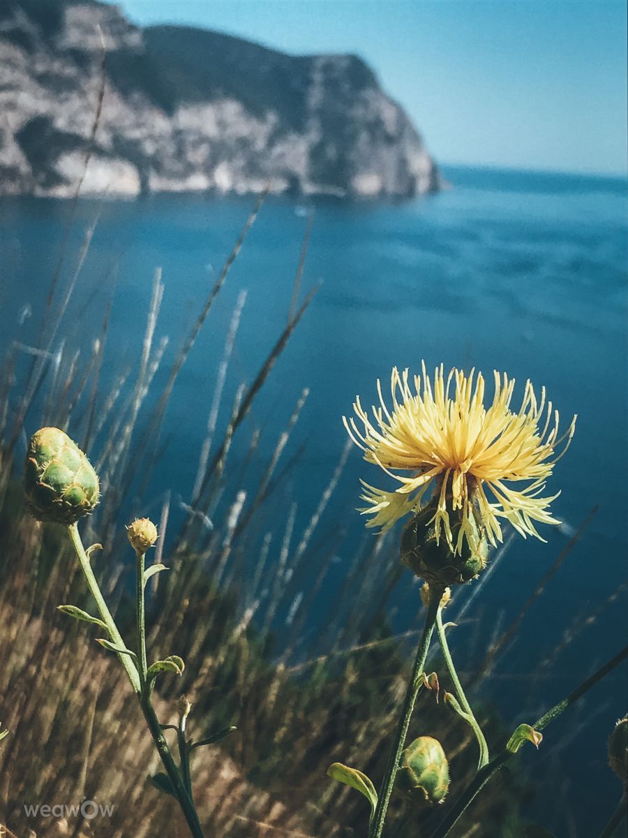 Photographer Echtge, Weather Photos in Sevastopol - Weawow