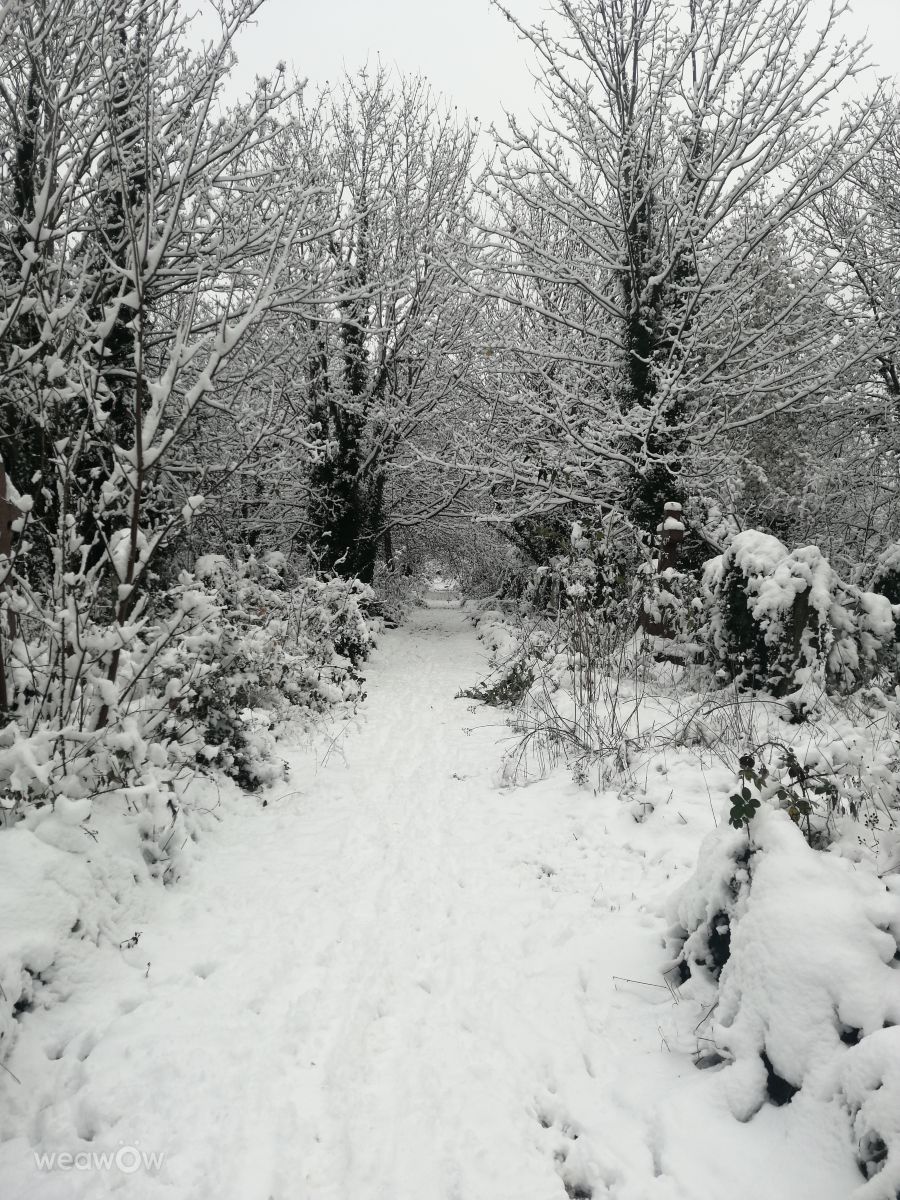 Lluniau Tywydd. Rhagolygon y tywydd gyda lluniau hyfryd gan maichai yn Forest Gate