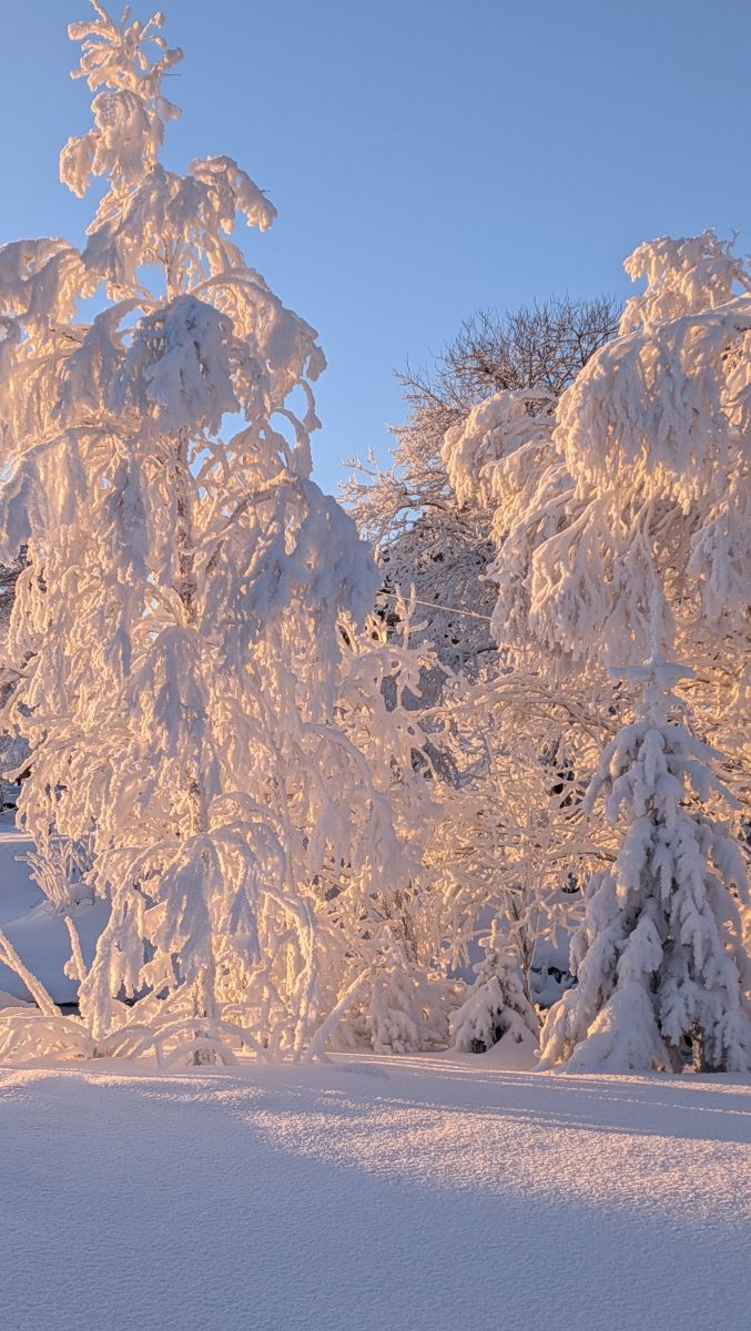 Weather Photos in Norway. Weather forecasts with beautiful photos by AndrGaev