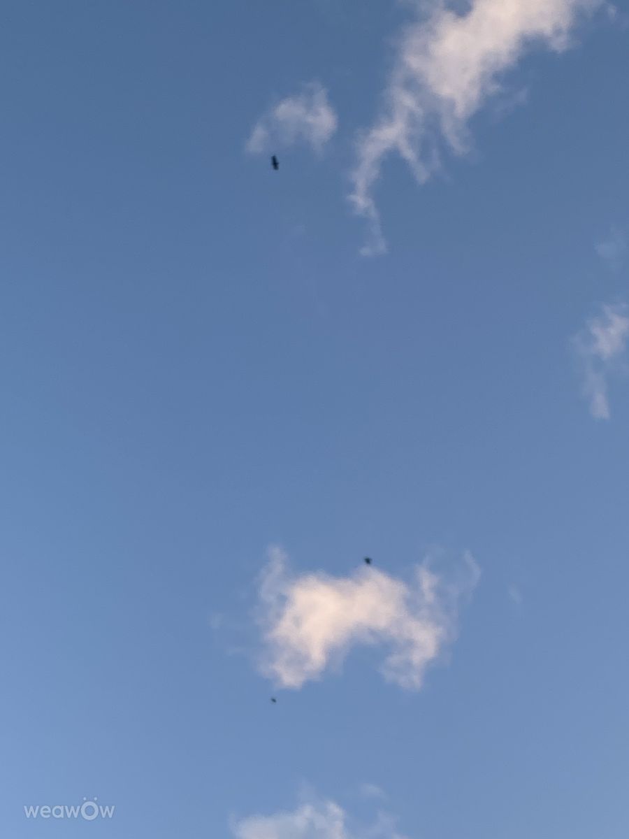 Fotografos Lulu5523, Fotos do tempo em le Plateau - Weawow