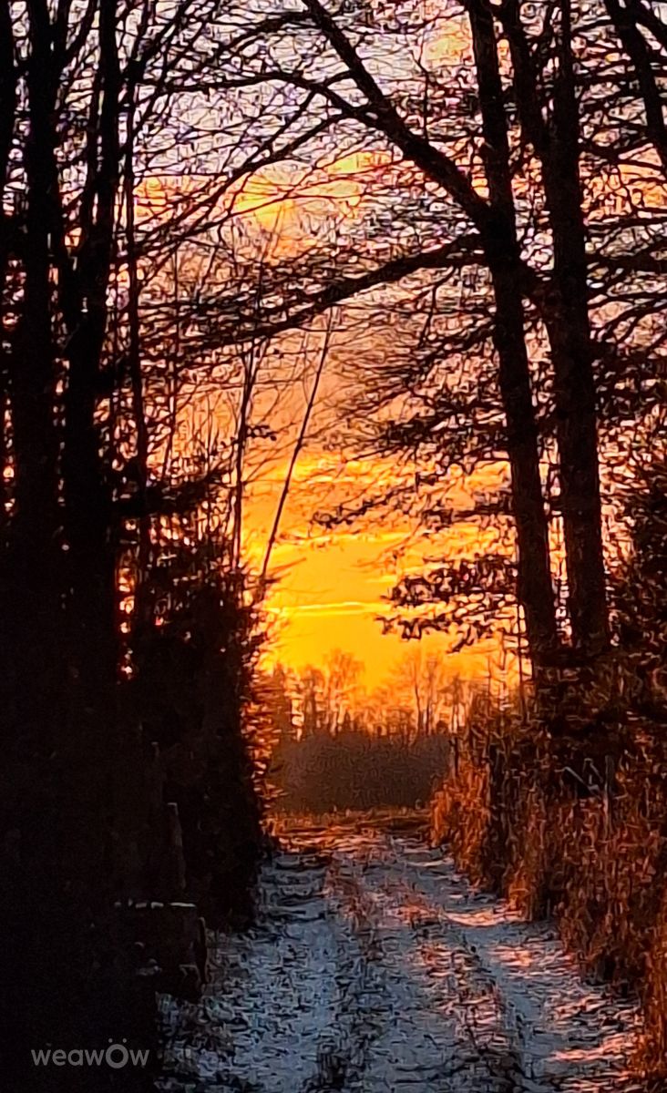 德国的天气照片. 天气预报，带Dan42精美的照片