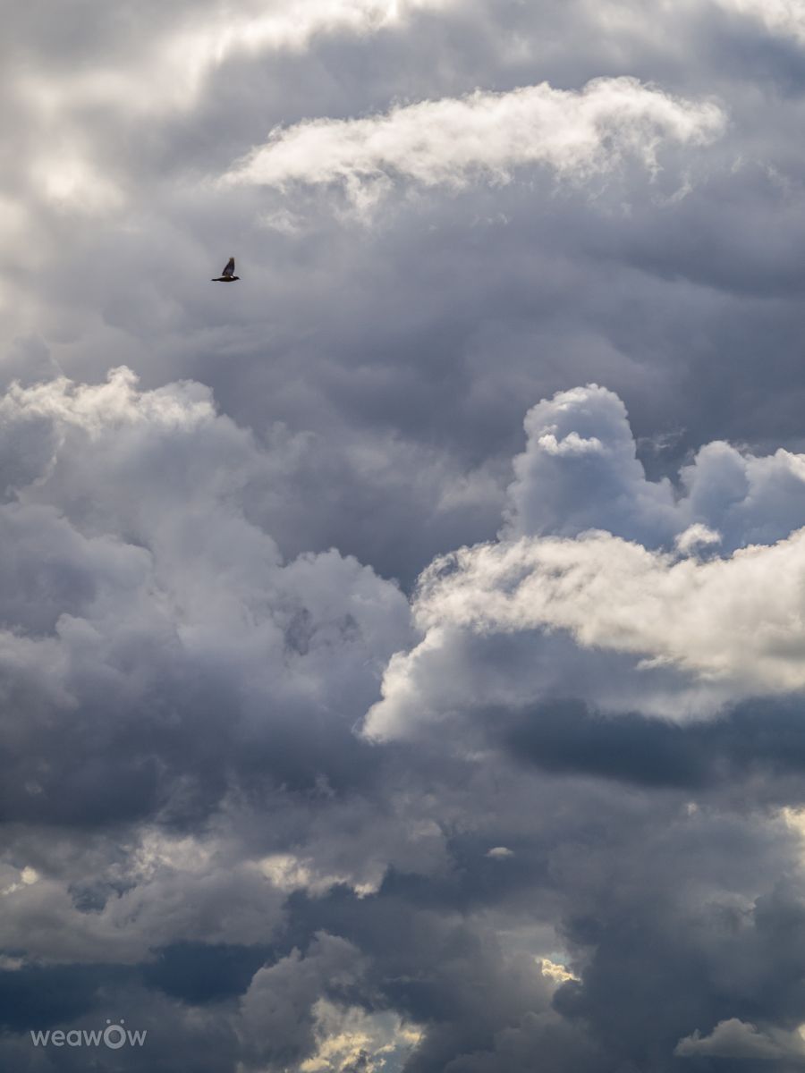 Fotos do tempo em Mikhnevo. Previsões do tempo com lindas fotos de Alex_M_Pakarev