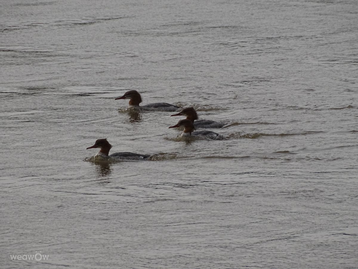 Fotografos Vasek325, Fotos do tempo em Praha 12 - Weawow