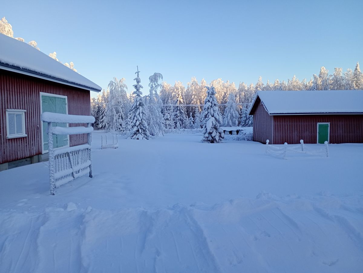 Fotos sobre el clima en Ostrobotnia del Norte. Pronósticos del tiempo con hermosas fotos de Juki