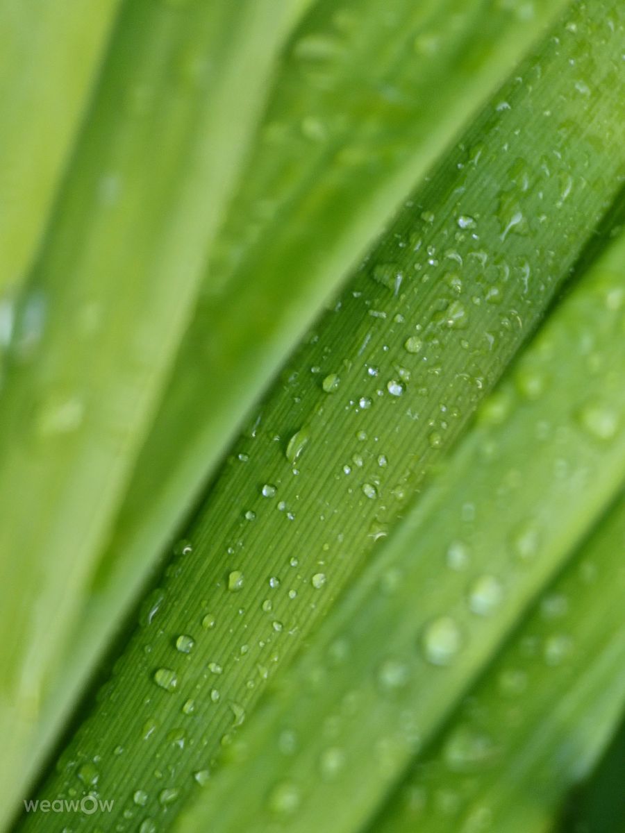 Photographe Miloš_SK, Photos météo à Sereď - Weawow