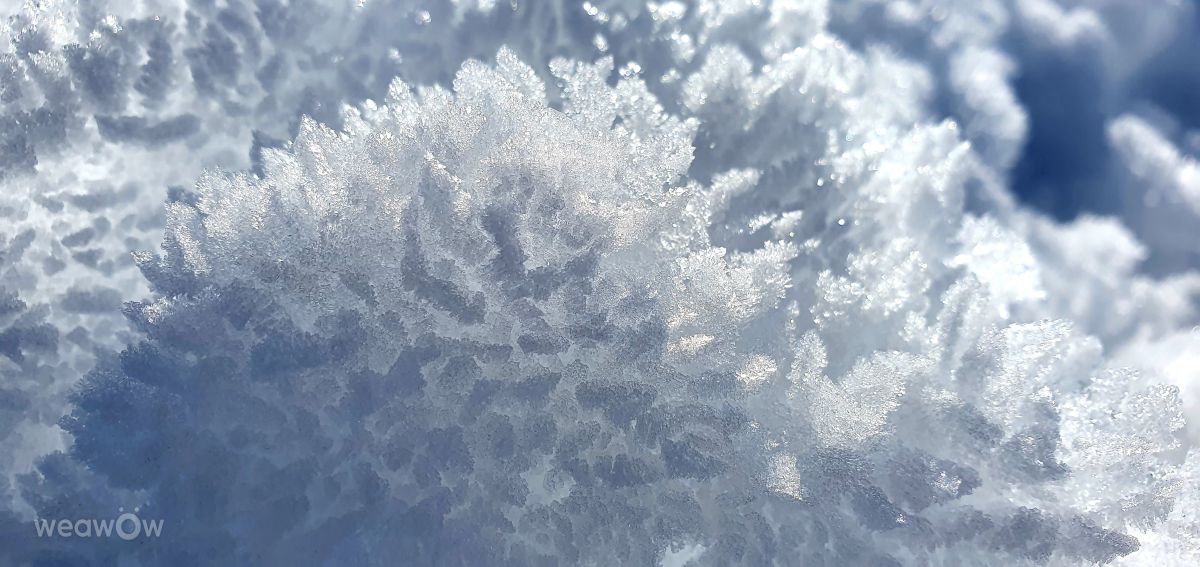 Photographer Raton, Weather Photos in Madrid - Weawow