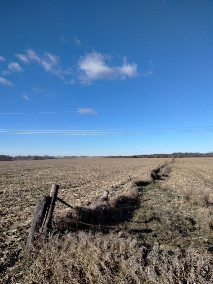 Weather Photos in Parnell. Weather forecasts with beautiful photos by Kate72